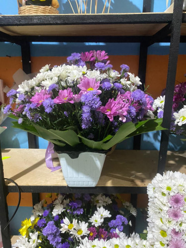 Toko Bunga Terbesar King Florist yayasansosialrumahdukapalangkaraya – Pilihan Utama Florist Profesio